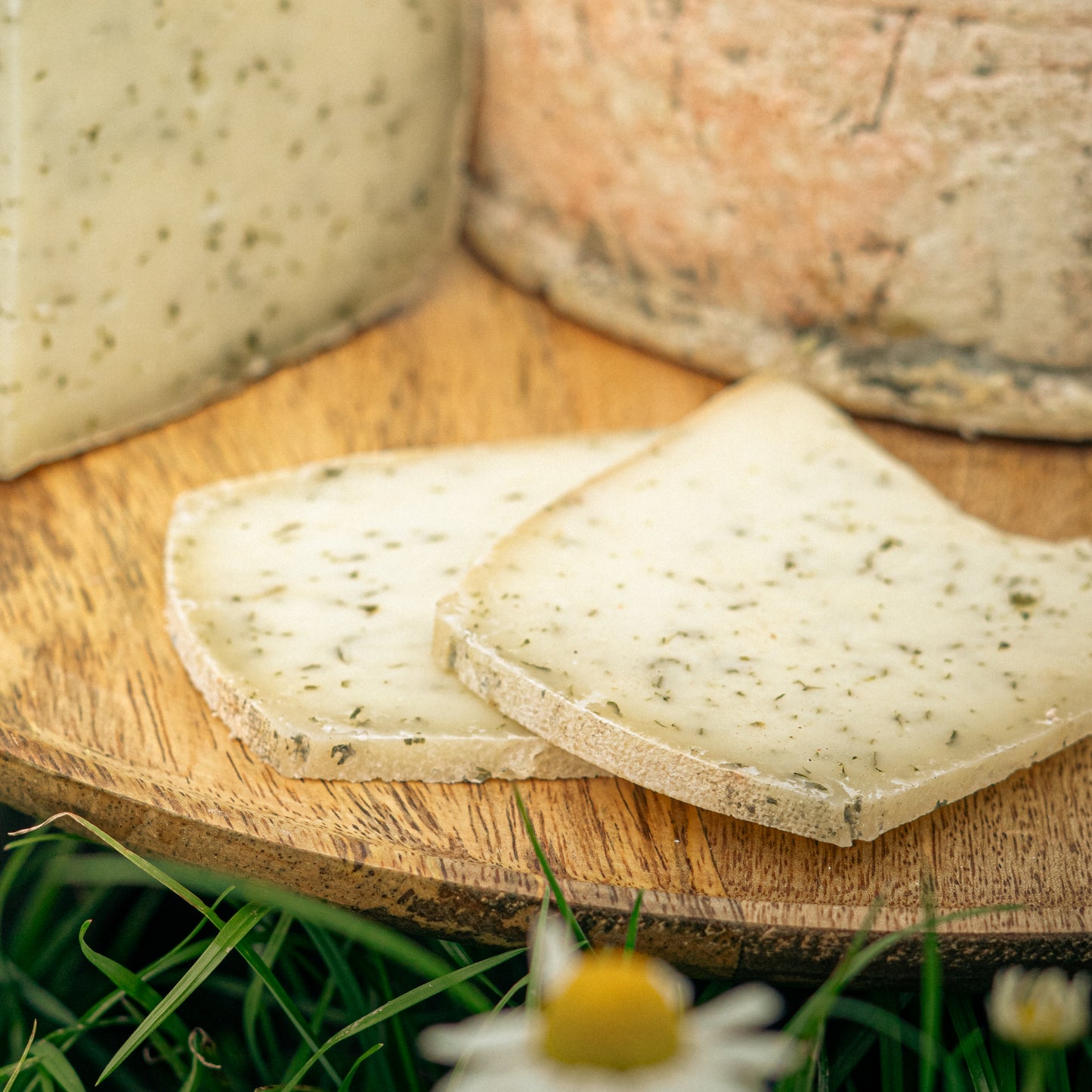 Tomme de brebis à l'ail des ours