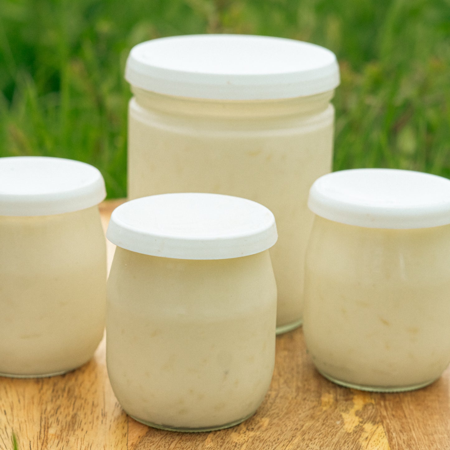 Riz au lait de brebis