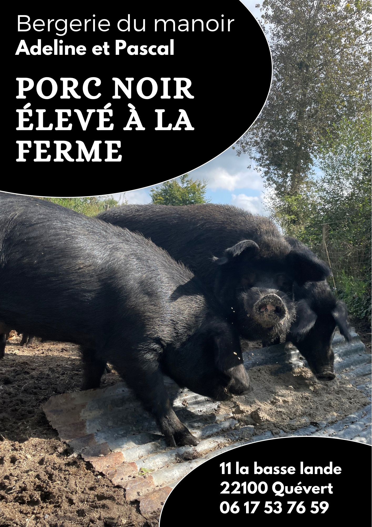 Viande de Porcs noirs