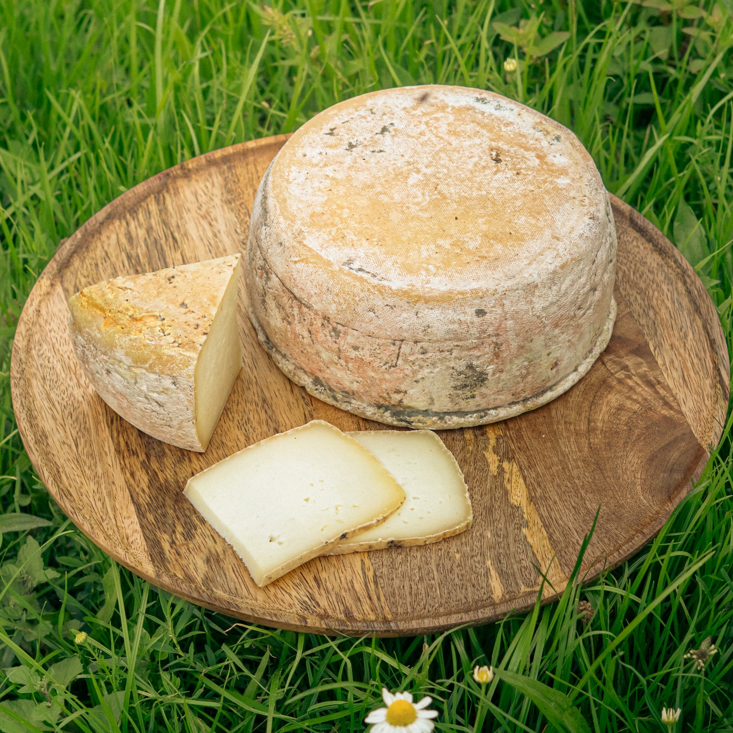Tomme de brebis nature