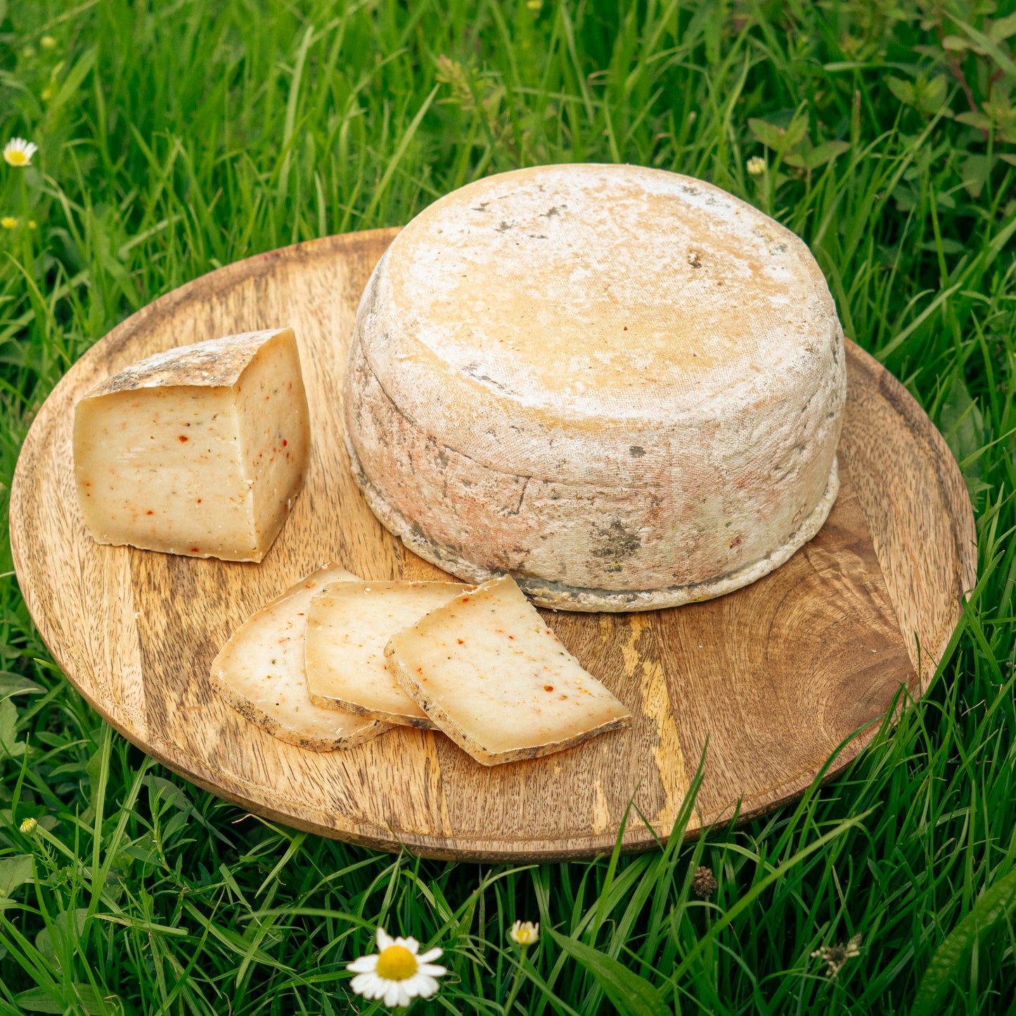 Tomme de brebis au piment
