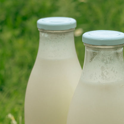 Lait be brebis pasteurisé
