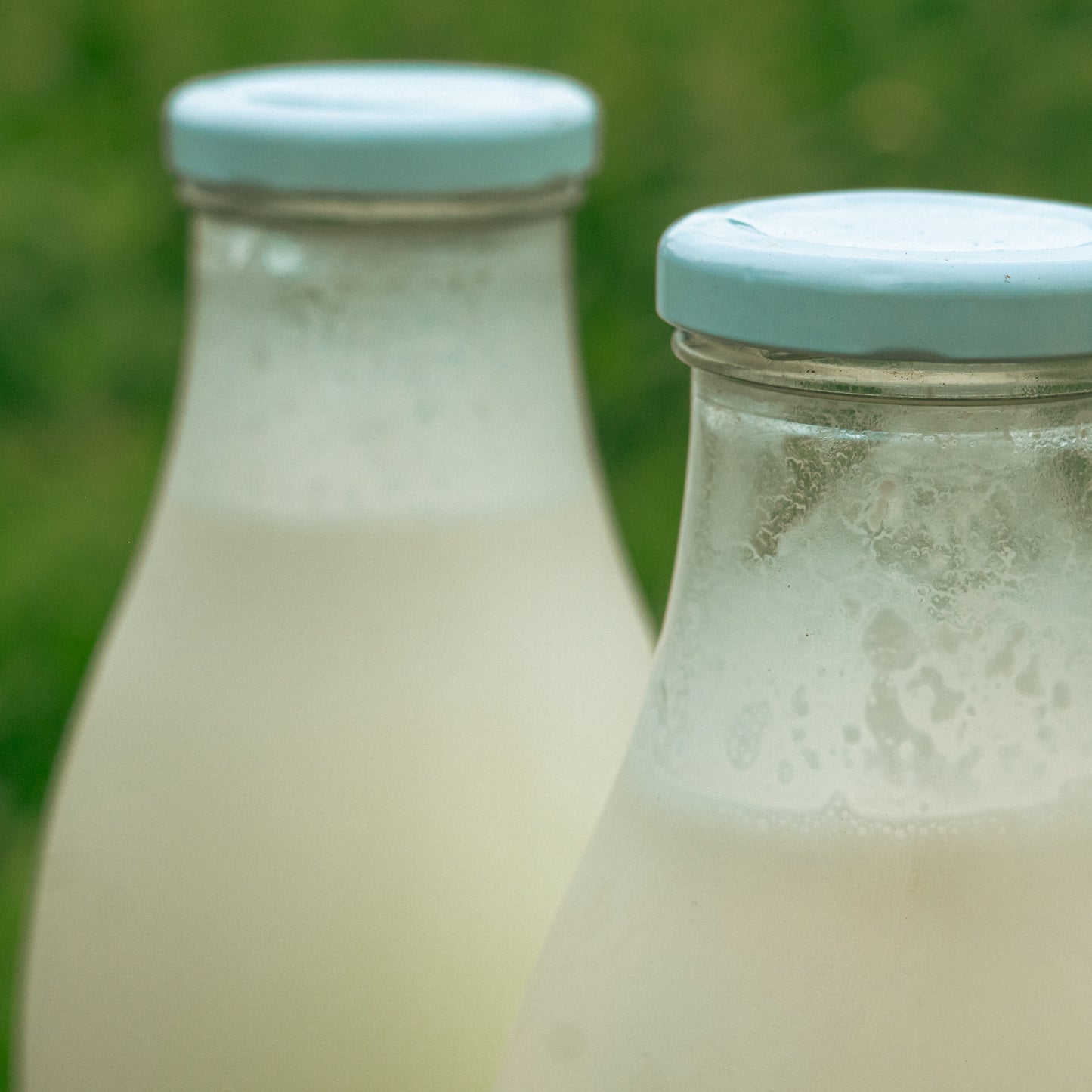 Lait be brebis pasteurisé