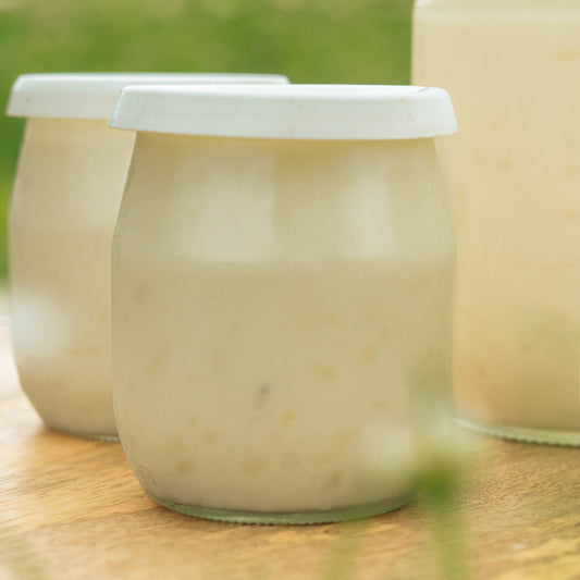 Riz au lait de brebis